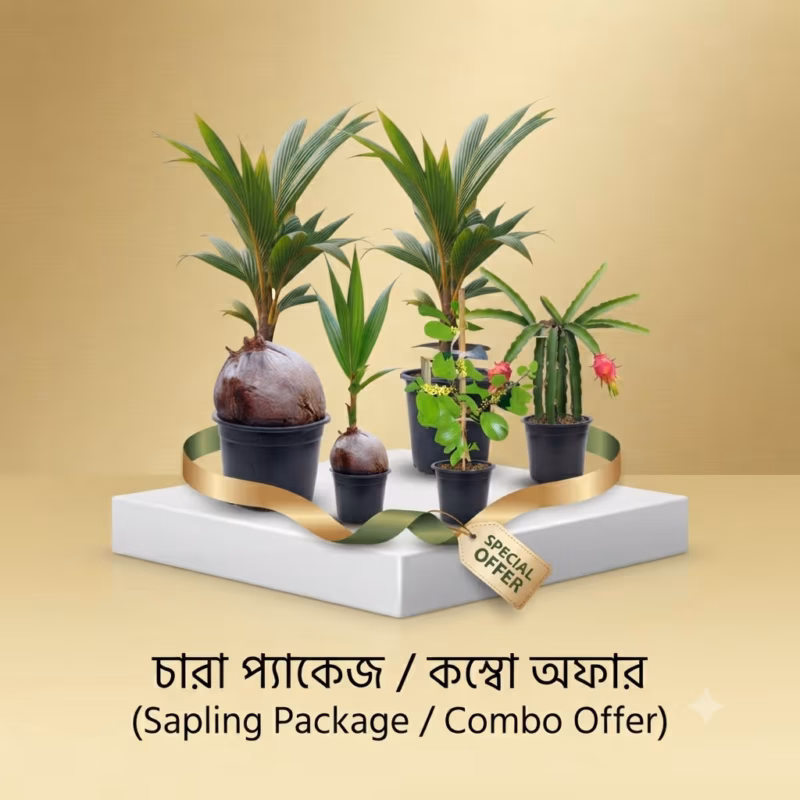 কম্বো অফার