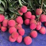 লিচু চাড়া